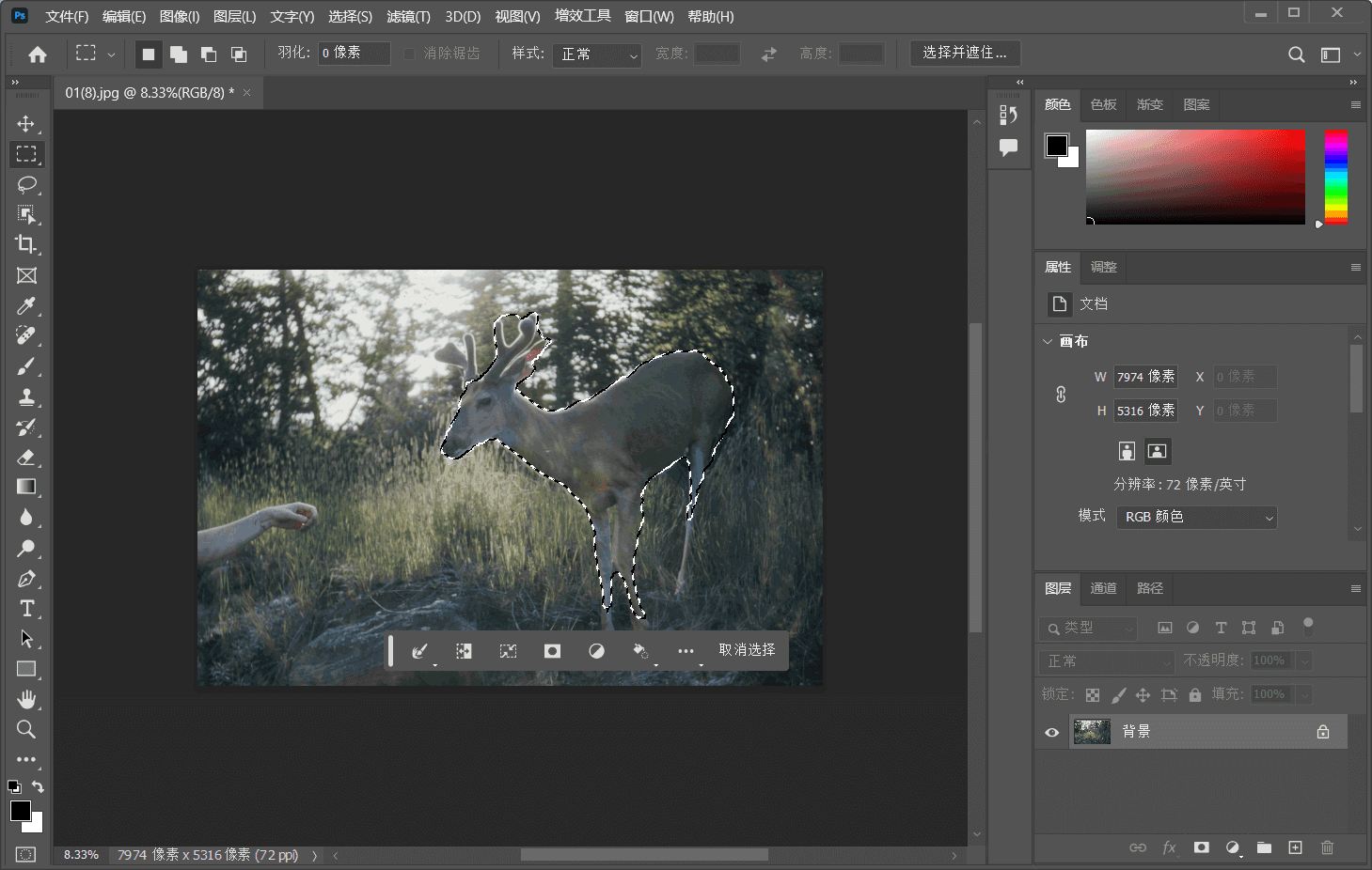 Adobe Photoshop2025破解版 